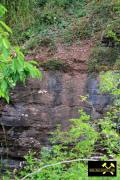 Ehemaliger Sandsteinbruch bei Bornstedt nahe Eisleben, Sachsen-Anhalt, (D) (15) 28.06.2015 (Hornburg-Formation).JPG